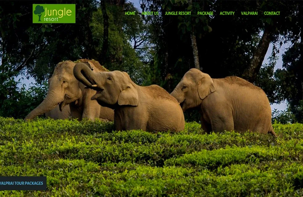 jungle resort